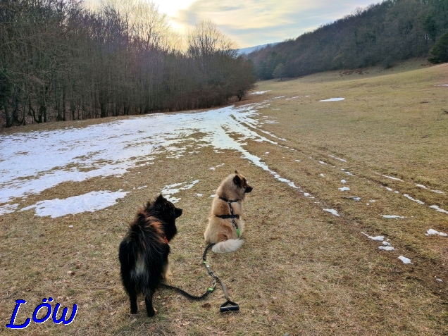 10.2.2023 - Dwix und Howard unterwegs Richtung Wasserspreng